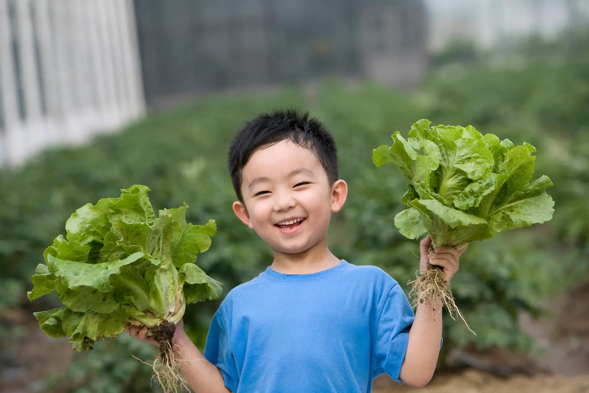 Kanchanaburi Farms