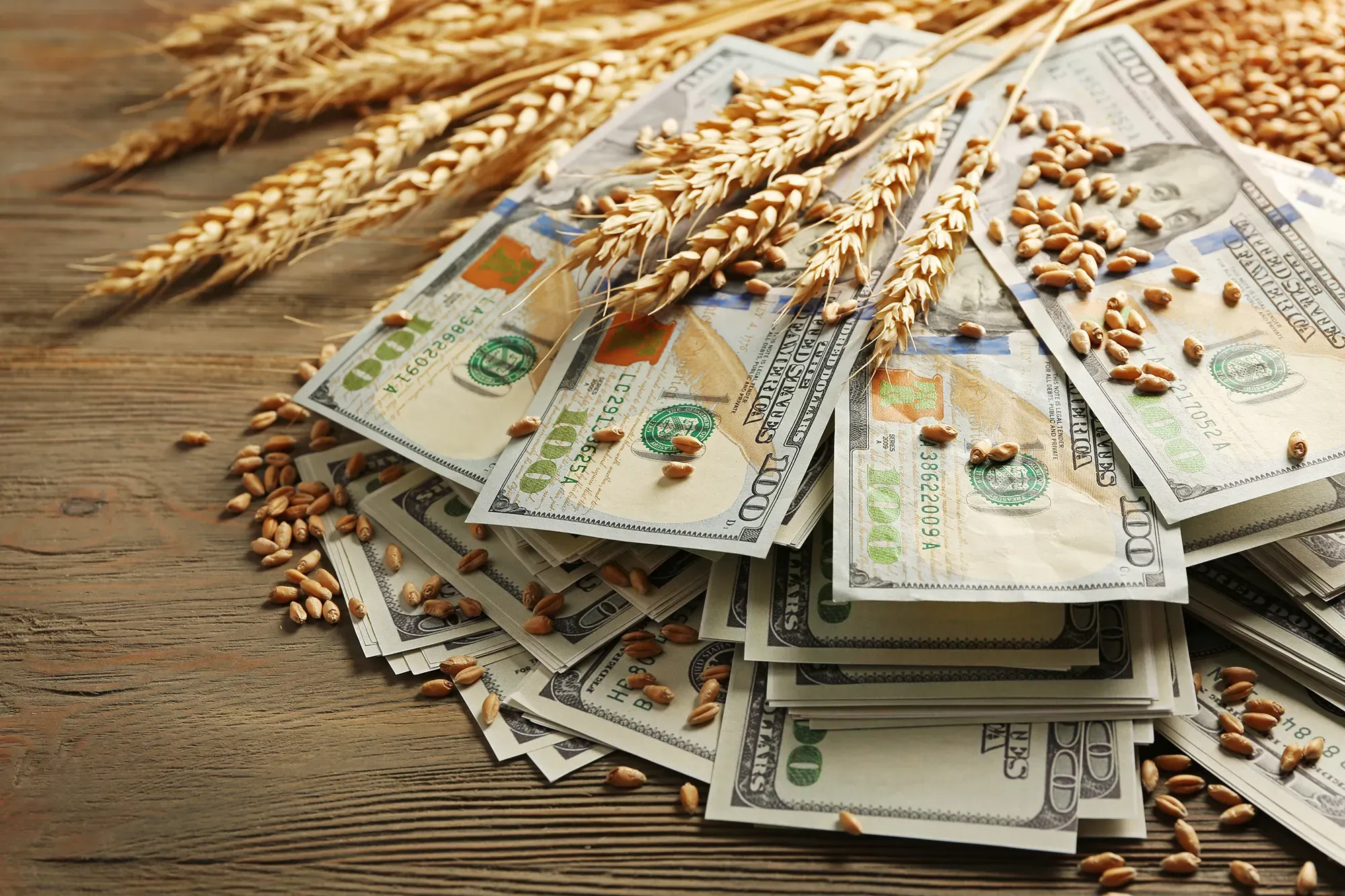 Dollar Banknotes Wheat Grains Wooden Background Agricultural Income Concept